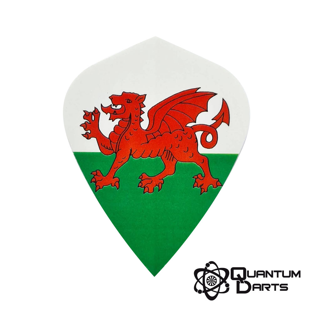 10 sets welsh flights Wales darts 